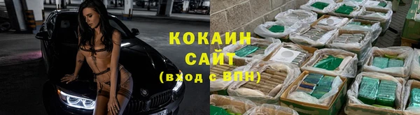 прущие крисы Няндома