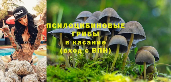 прущие крисы Няндома