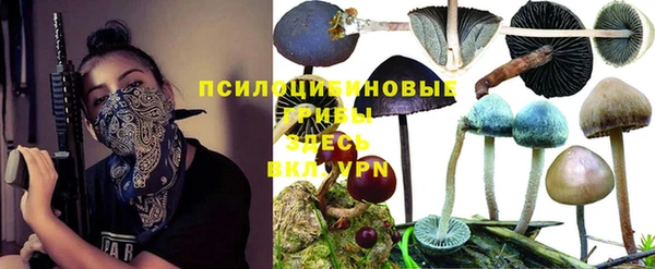 эйфоретик Киреевск