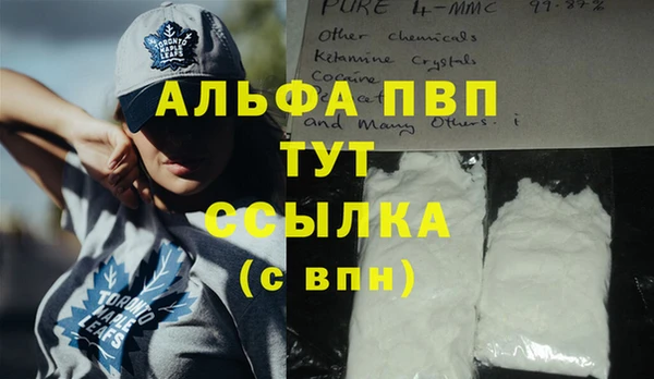 прущие крисы Няндома